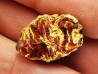 amber , Cretecous, USA