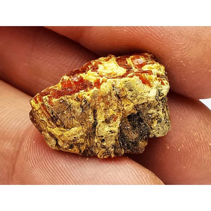 amber , Cretecous, USA
