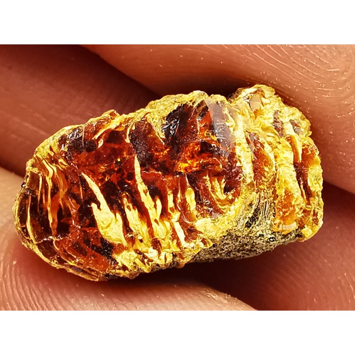 amber, Cretecous, USA