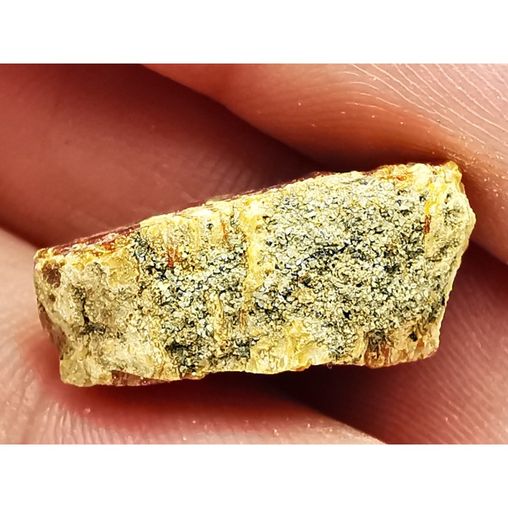 amber, Cretecous, USA