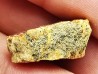 amber, Cretecous, USA
