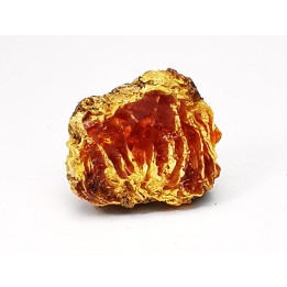 amber , Cretecous, USA