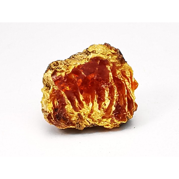 amber , Cretecous, USA