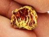 amber , Cretecous, USA