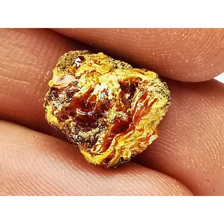 AMBRE du Crétacé, USA