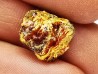AMBRE du Crétacé, USA