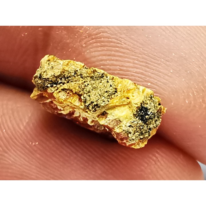 amber , Cretecous, USA