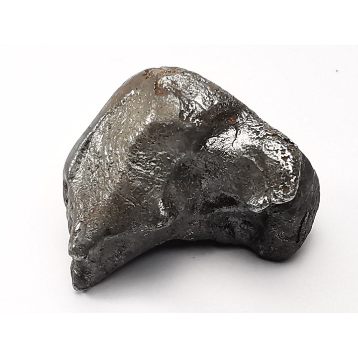 Météorite: SIDERITE IIAB - SIKHOTE ALIN - Russie
