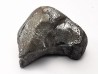 Météorite: SIDERITE IIAB - SIKHOTE ALIN - Russie