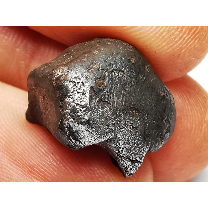 METEORITE: SIDERITE IIAB - SIKHOTE ALIN - Russie