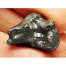METEORITE: SIDERITE IIAB - SIKHOTE ALIN - Russie