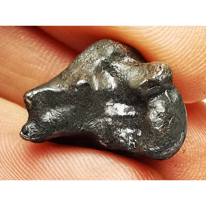 METEORITE: SIDERITE IIAB - SIKHOTE ALIN - Russie