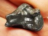 METEORITE: SIDERITE IIAB - SIKHOTE ALIN - Russie