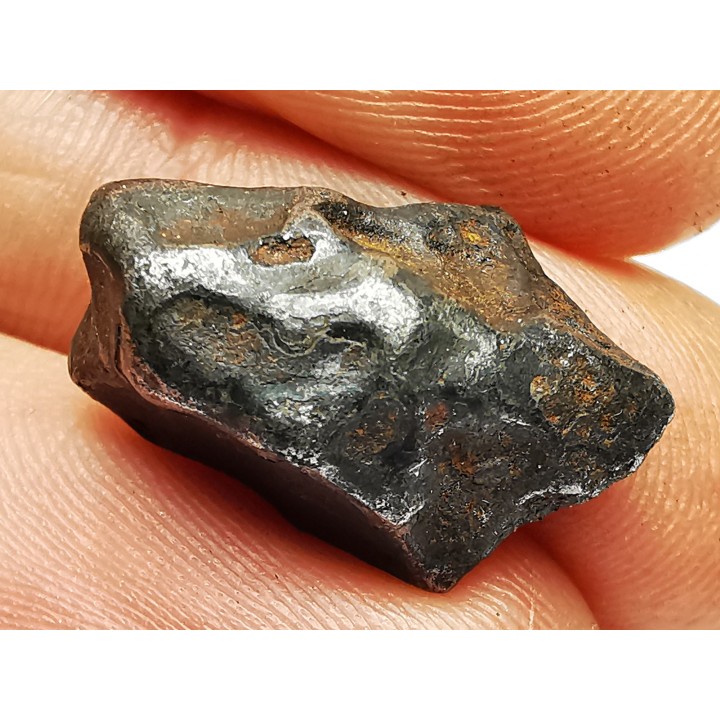 Météorite: SIDERITE IIAB - SIKHOTE ALIN - Russie