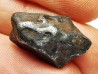 Météorite: SIDERITE IIAB - SIKHOTE ALIN - Russie
