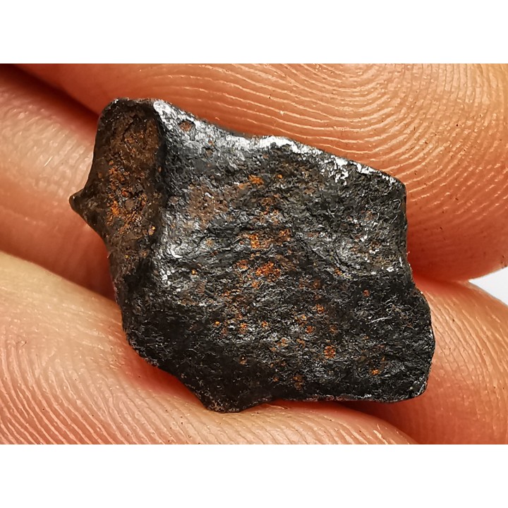METEORITE: SIDERITE IIAB - SIKHOTE ALIN - Russie