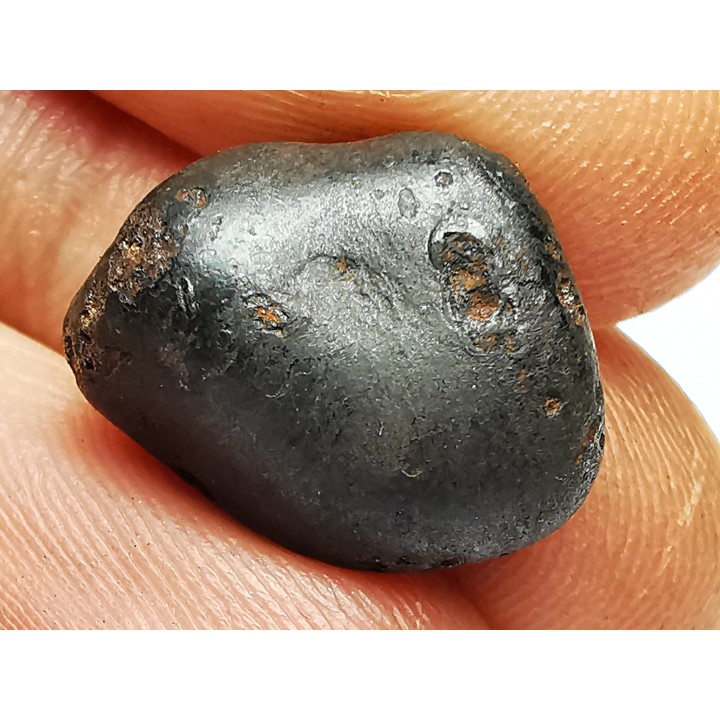 METEORITE: SIDERITE IIAB - SIKHOTE ALIN - Russie