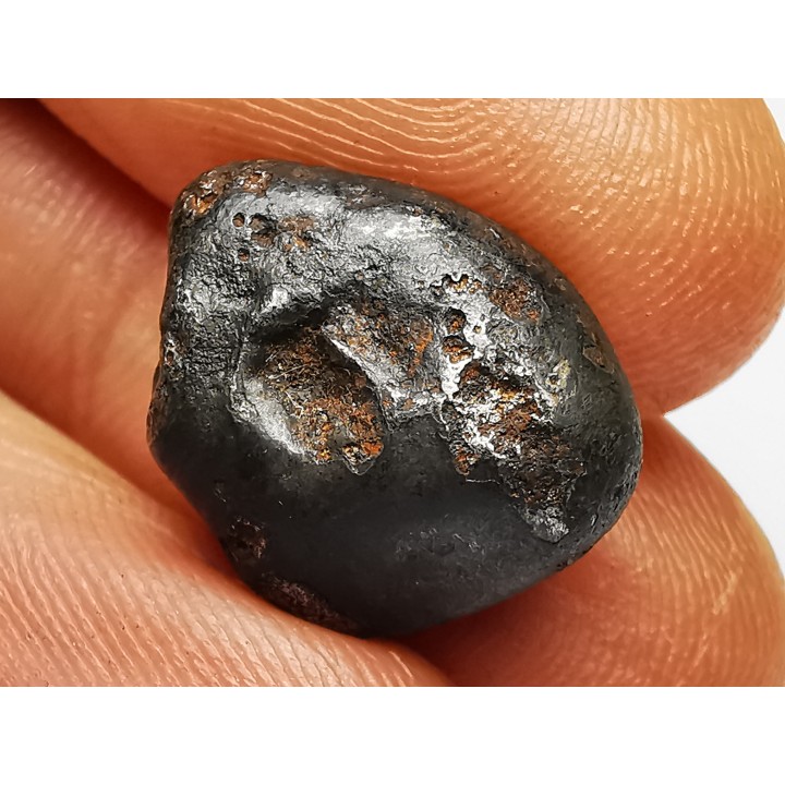 Météorite: SIDERITE IIAB - SIKHOTE ALIN - Russie