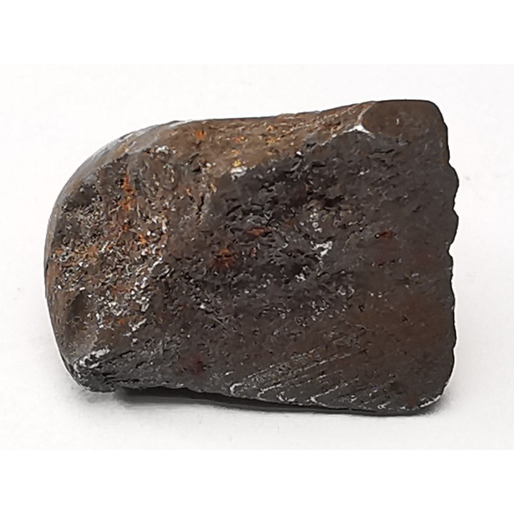 Météorite: SIDERITE IIAB - SIKHOTE ALIN - Russie
