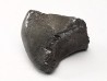 METEORITE: SIDERITE IIAB - SIKHOTE ALIN - Russie