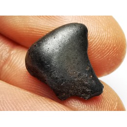 METEORITE: SIDERITE IIAB - SIKHOTE ALIN - Russie