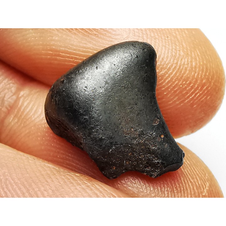 Météorite: SIDERITE IIAB - SIKHOTE ALIN - Russie