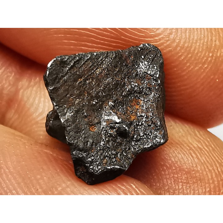 METEORITE: SIDERITE IIAB - SIKHOTE ALIN - Russie