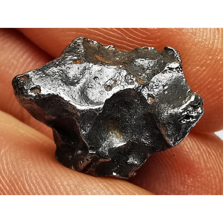 Météorite: SIDERITE IIAB - SIKHOTE ALIN - Russie