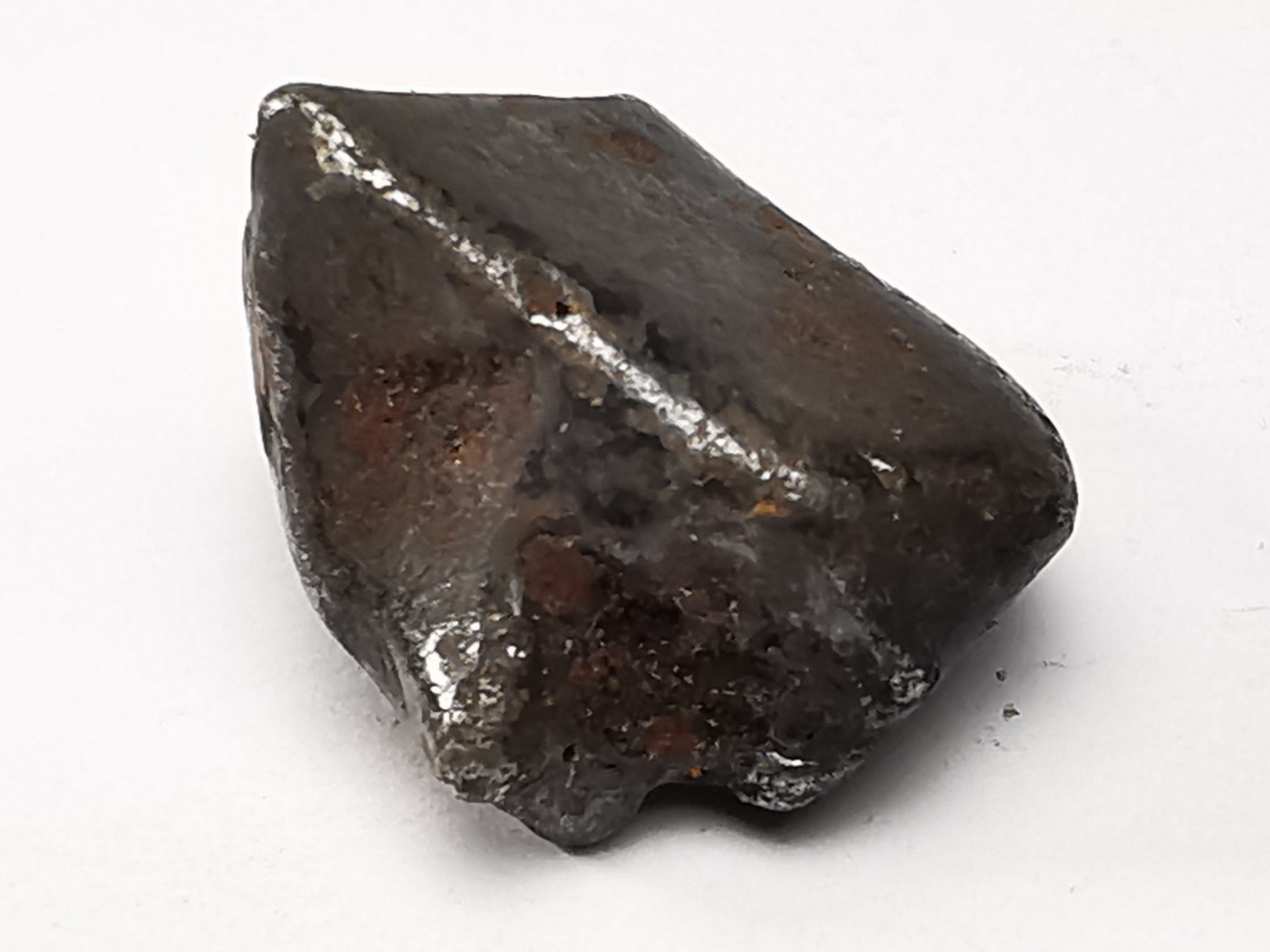 Météorite: SIDERITE IIAB - SIKHOTE ALIN - Russie