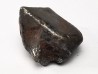 METEORITE: SIDERITE IIAB - SIKHOTE ALIN - Russie
