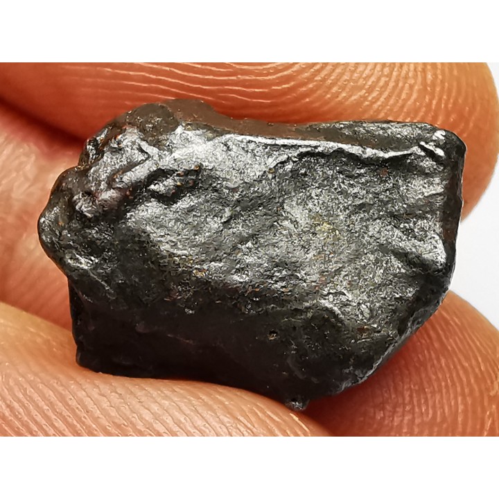 METEORITE: SIDERITE IIAB - SIKHOTE ALIN - Russie
