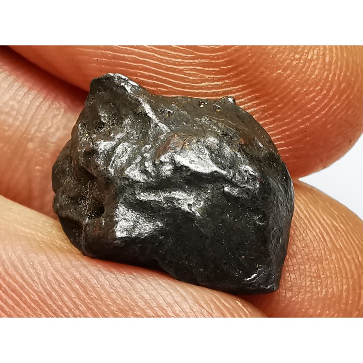 METEORITE: SIDERITE IIAB - SIKHOTE ALIN - Russie