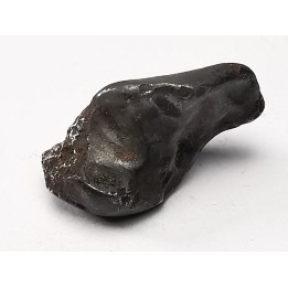 METEORITE: SIDERITE IIAB - SIKHOTE ALIN - Russie