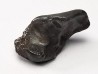 METEORITE: SIDERITE IIAB - SIKHOTE ALIN - Russie