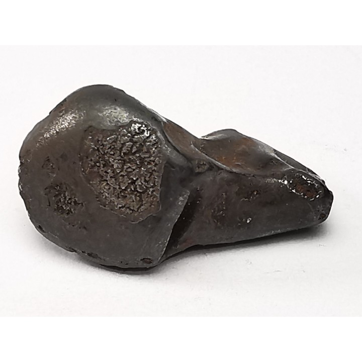 Météorite: SIDERITE IIAB - SIKHOTE ALIN - Russie