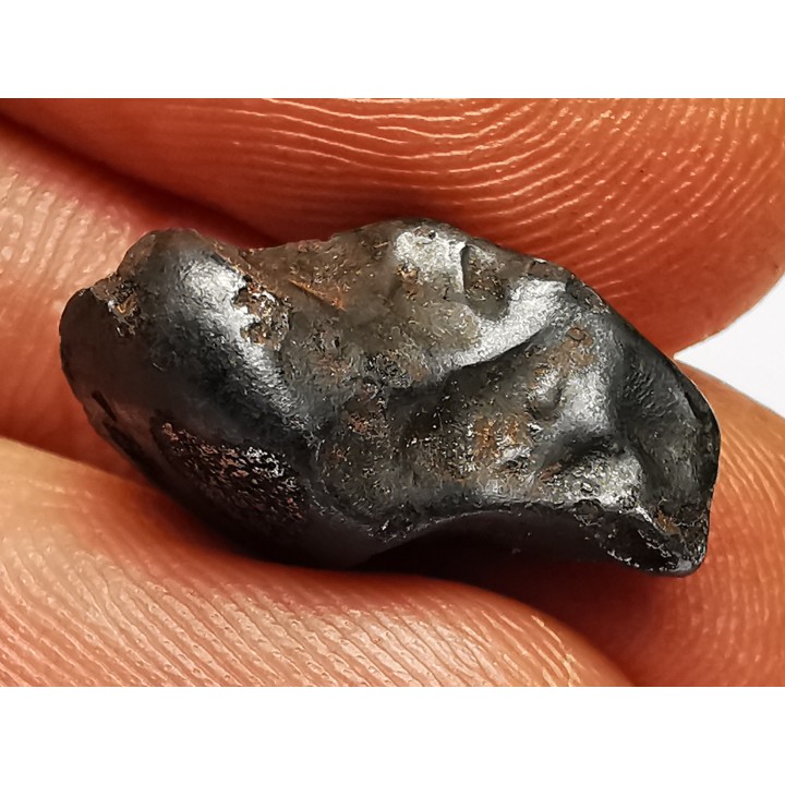 METEORITE: SIDERITE IIAB - SIKHOTE ALIN - Russie