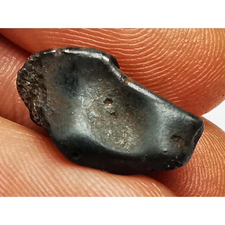 METEORITE: SIDERITE IIAB - SIKHOTE ALIN - Russie