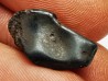METEORITE: SIDERITE IIAB - SIKHOTE ALIN - Russie