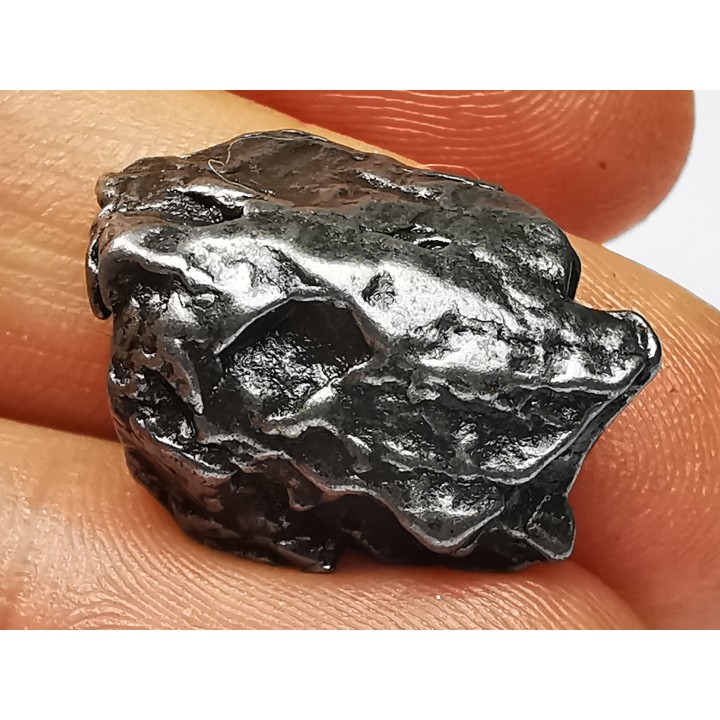METEORITE  Campo del Cielo