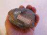 SCALARITES SCALARIS