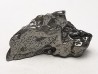 METEORITE Campo del Cielo