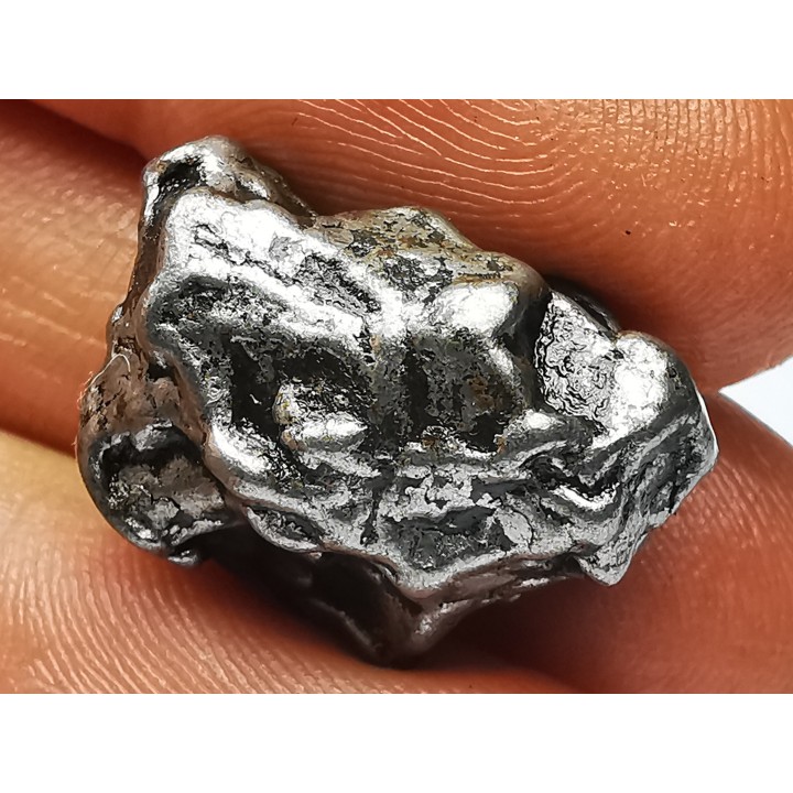METEORITE  Campo del Cielo