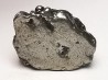 METEORITE  Campo del Cielo