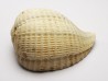 GASTEROPODE : Pirula condita - Aquitanien - St-Avit (40)