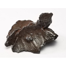 Météorite: SIDERITE IIAB - SIKHOTE ALIN - Russie