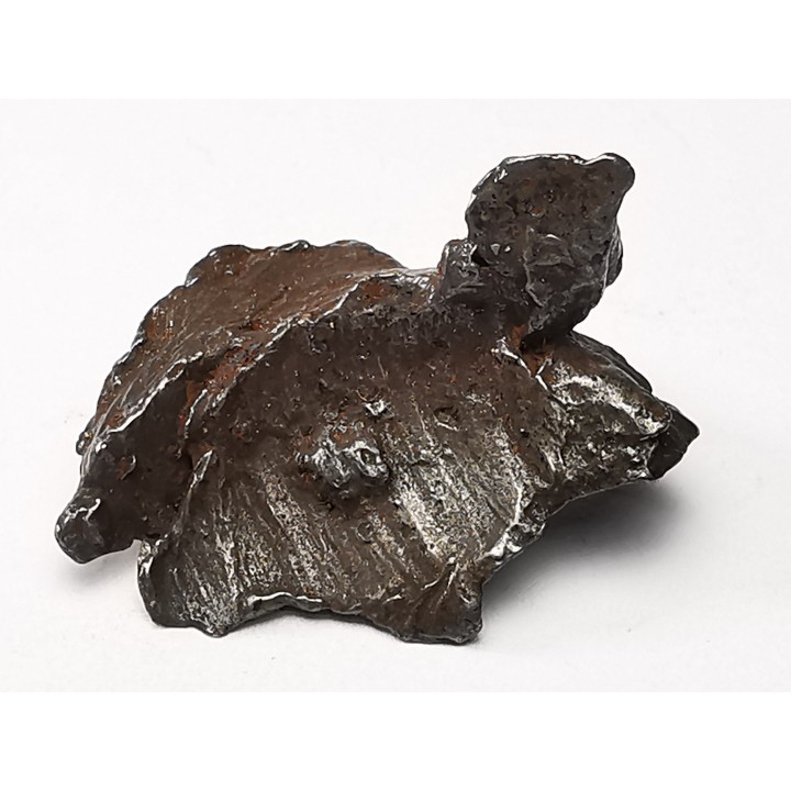 METEORITE: SIDERITE IIAB - SIKHOTE ALIN - Russie
