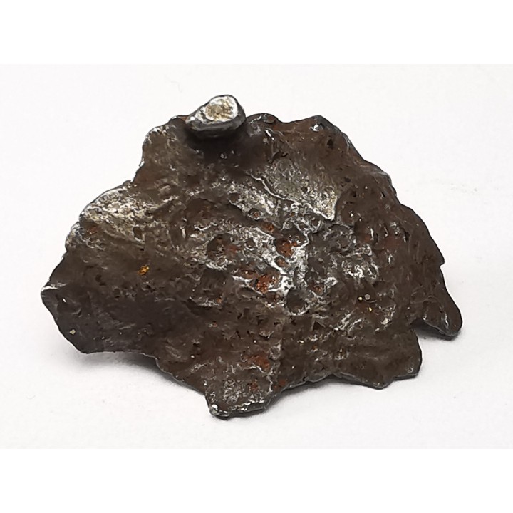 METEORITE: SIDERITE IIAB - SIKHOTE ALIN - Russie