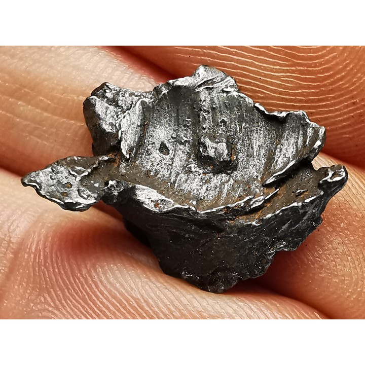 METEORITE: SIDERITE IIAB - SIKHOTE ALIN - Russie