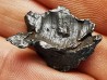 METEORITE: SIDERITE IIAB - SIKHOTE ALIN - Russie