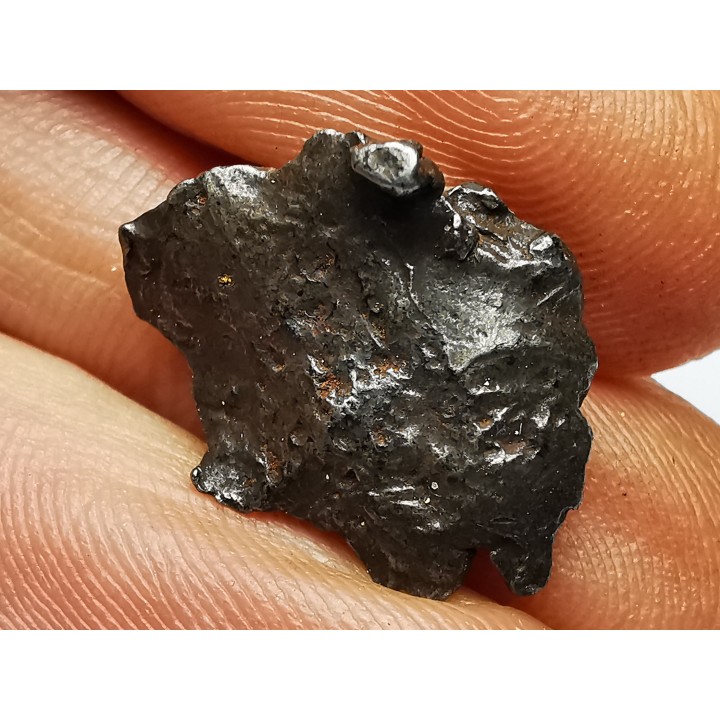 Météorite: SIDERITE IIAB - SIKHOTE ALIN - Russie